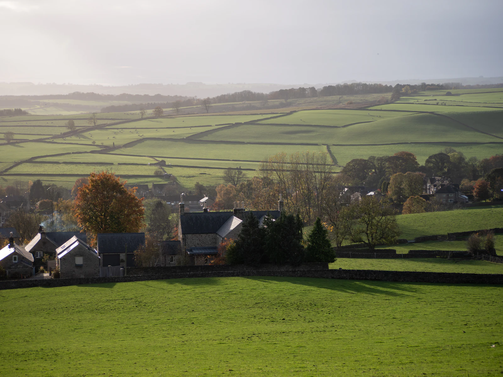 Green field with houses on the edge of a settlement