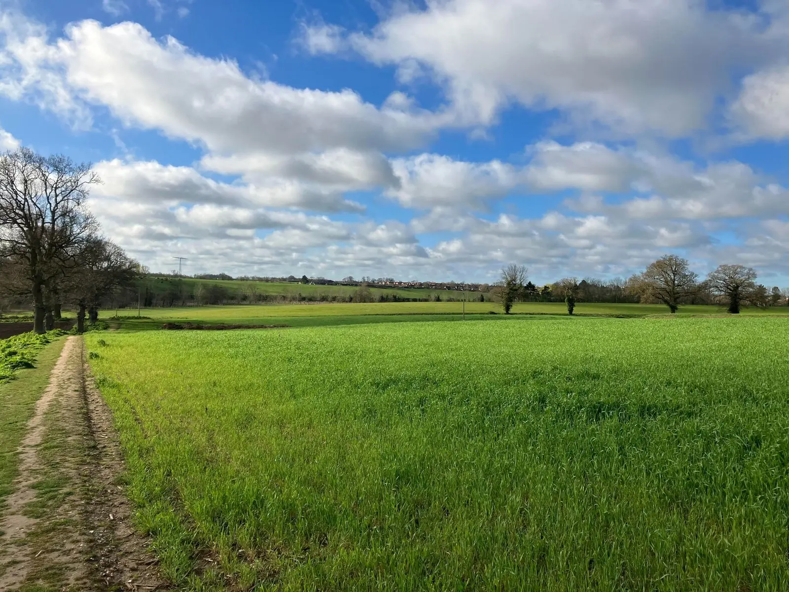 Countryside in Cambridgeshire representing planning projects across Huntingdonshire