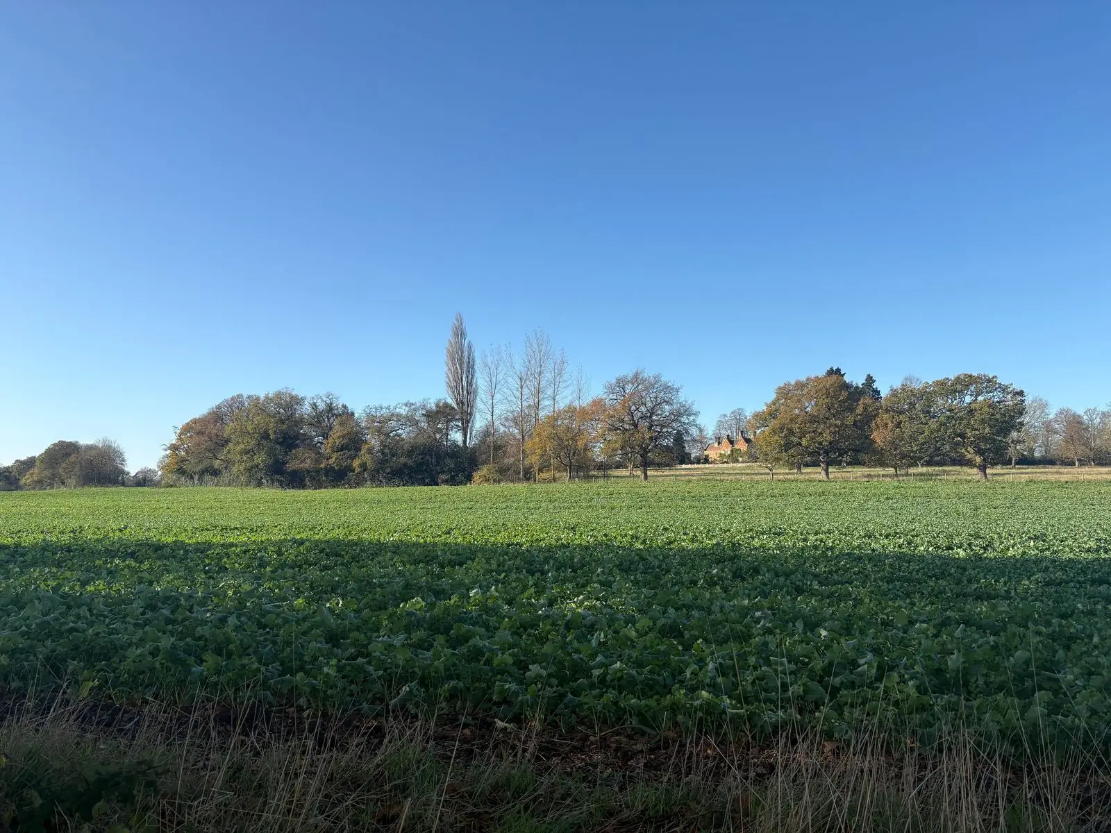Open countryside landscape representing Green Belt planning land