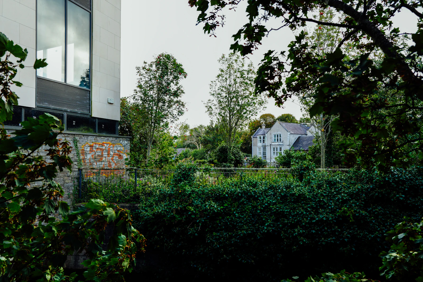 Contemporary detached garden building set within a landscaped residential garden